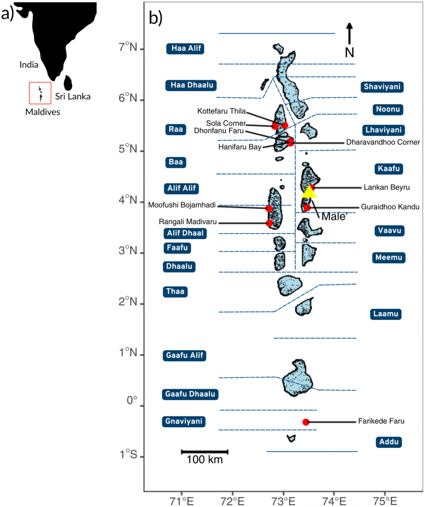 Statistics from a research on Manta Ray tourism in Maldives.